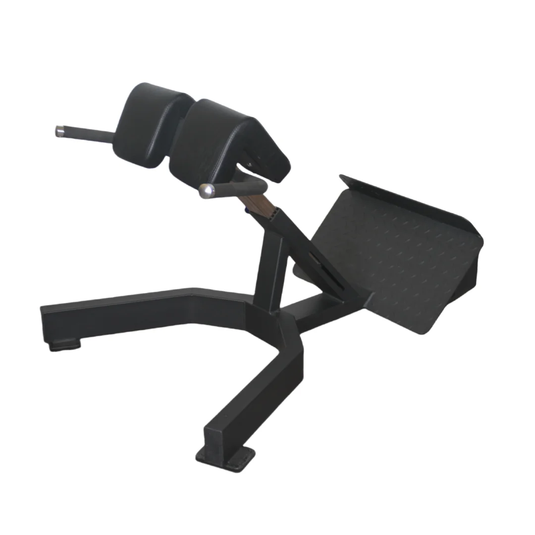 Home Gym Price - Preço de Fábrica: Cadeira Romana para