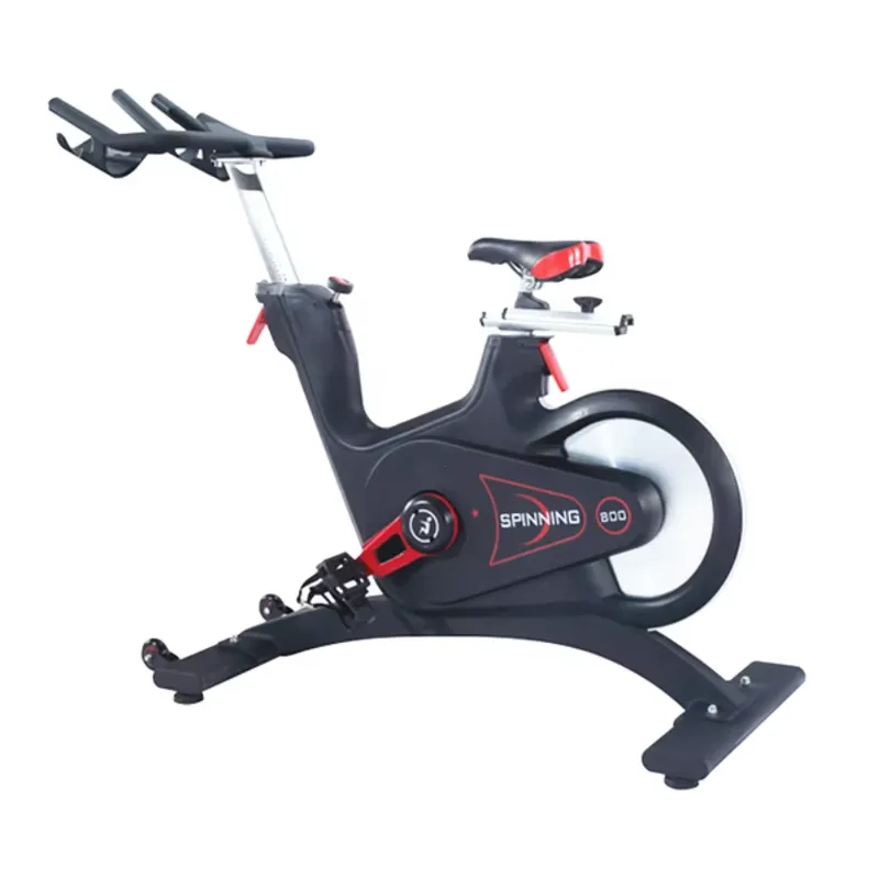 Bicicleta de Spinning Profissi - Home Gym Exercise avaliação e preço