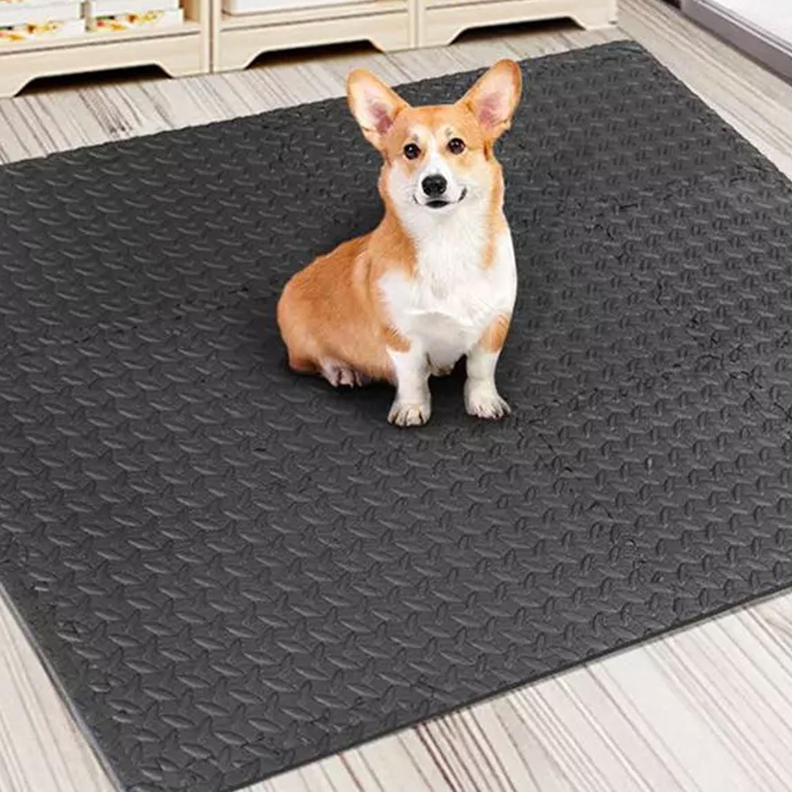 Telhas de ginástica 12 peças,  - Home Gym For Toddlers avaliação e preço